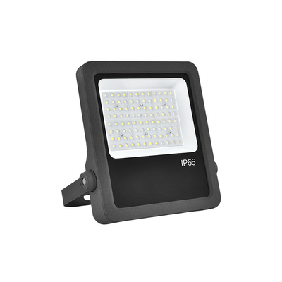 Aluminiowe odlewy 100W Led Flood Lights Indoor Garden Floodlight For Theme Park