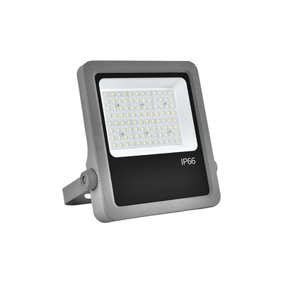 Aluminiowe odlewy 100W Led Flood Lights Indoor Garden Floodlight For Theme Park